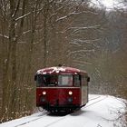 Bus im Wald