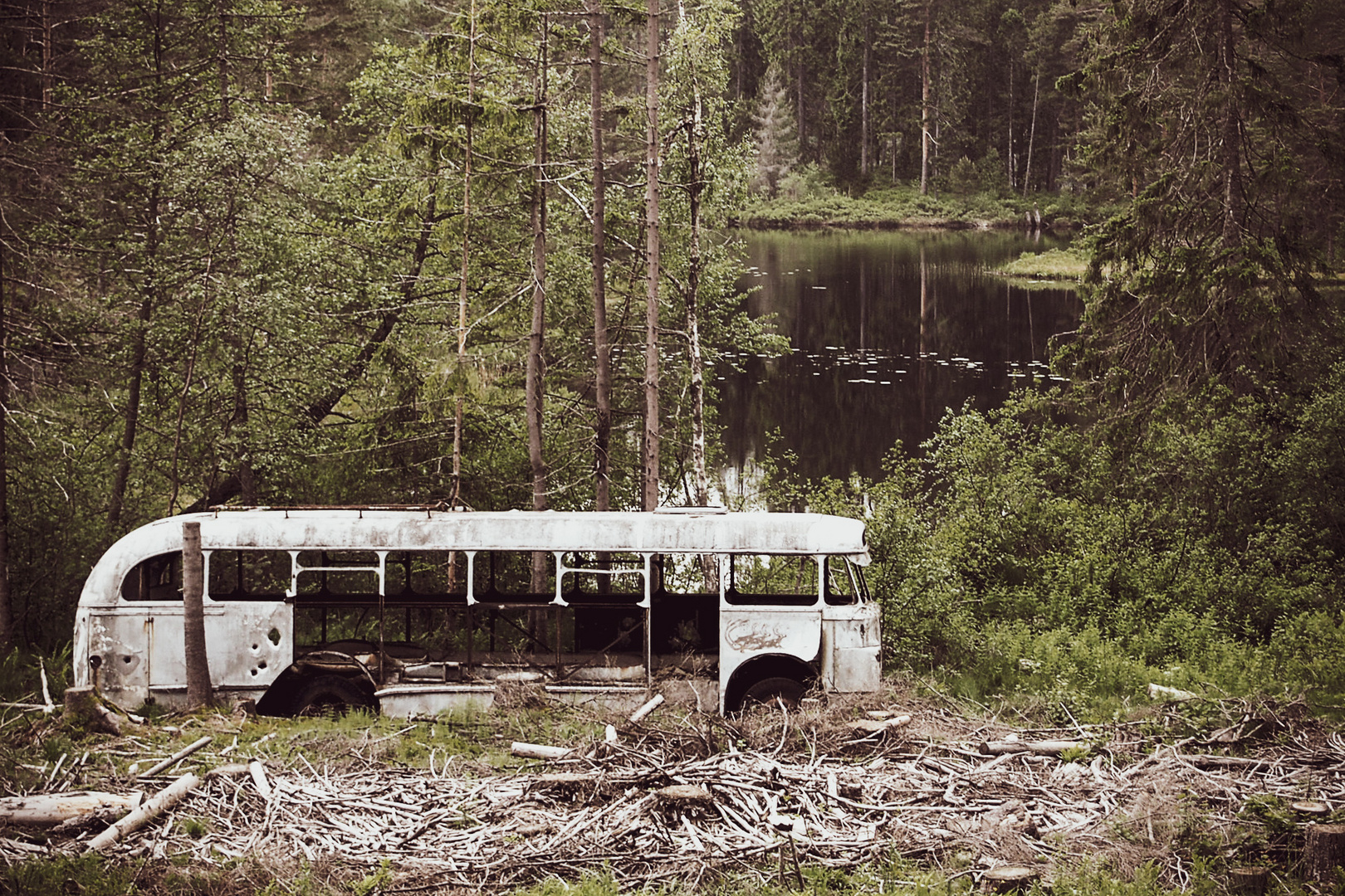 Bus im Wald