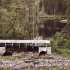 Bus im Wald