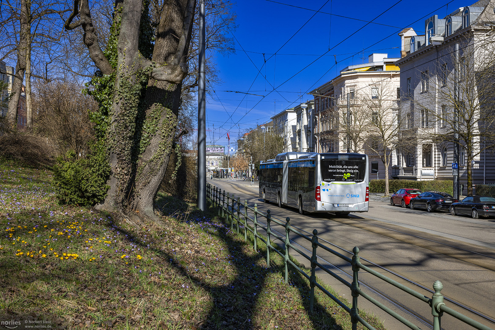 Bus in der Konrad-Adenauer-Allee