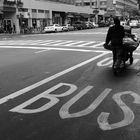 Bus Lane