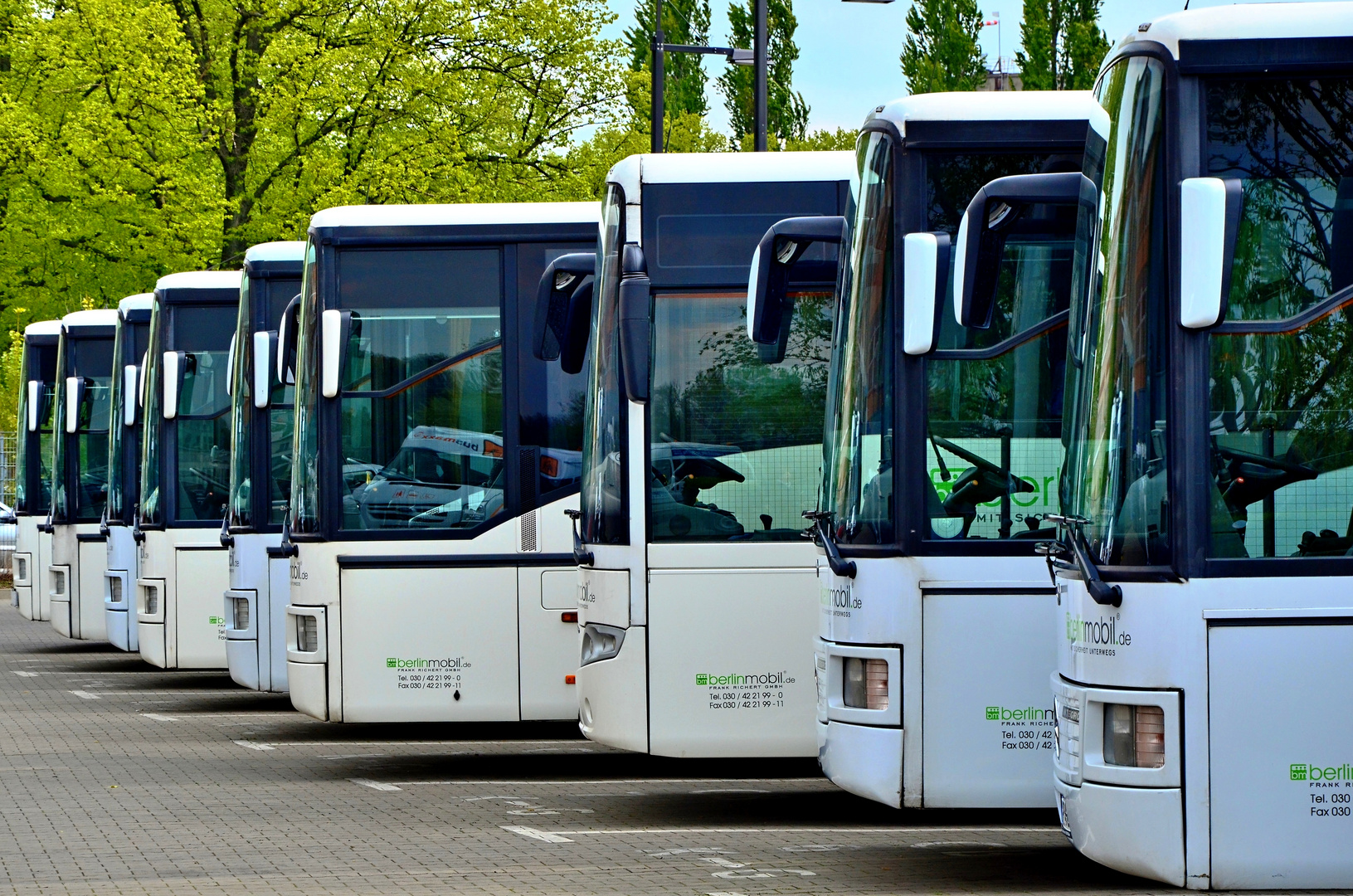 Bus-Linien-Busse