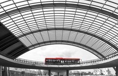 Bus nach Edam