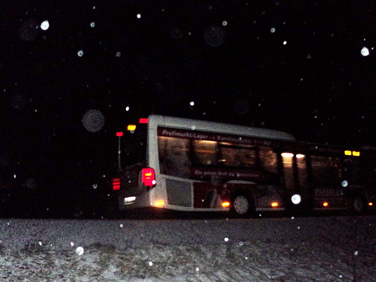 Bus nach Hof 17.2.16 bei leichtem Schneefall