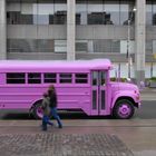 Bus Pink