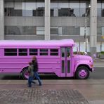 Bus Pink