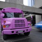 Bus Pink II