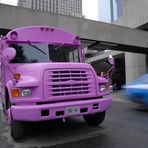 Bus Pink II