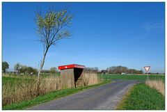 Bus Stop