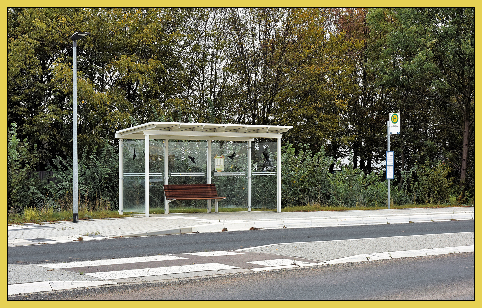 Bus stop #49