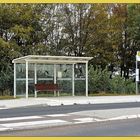 Bus stop #49