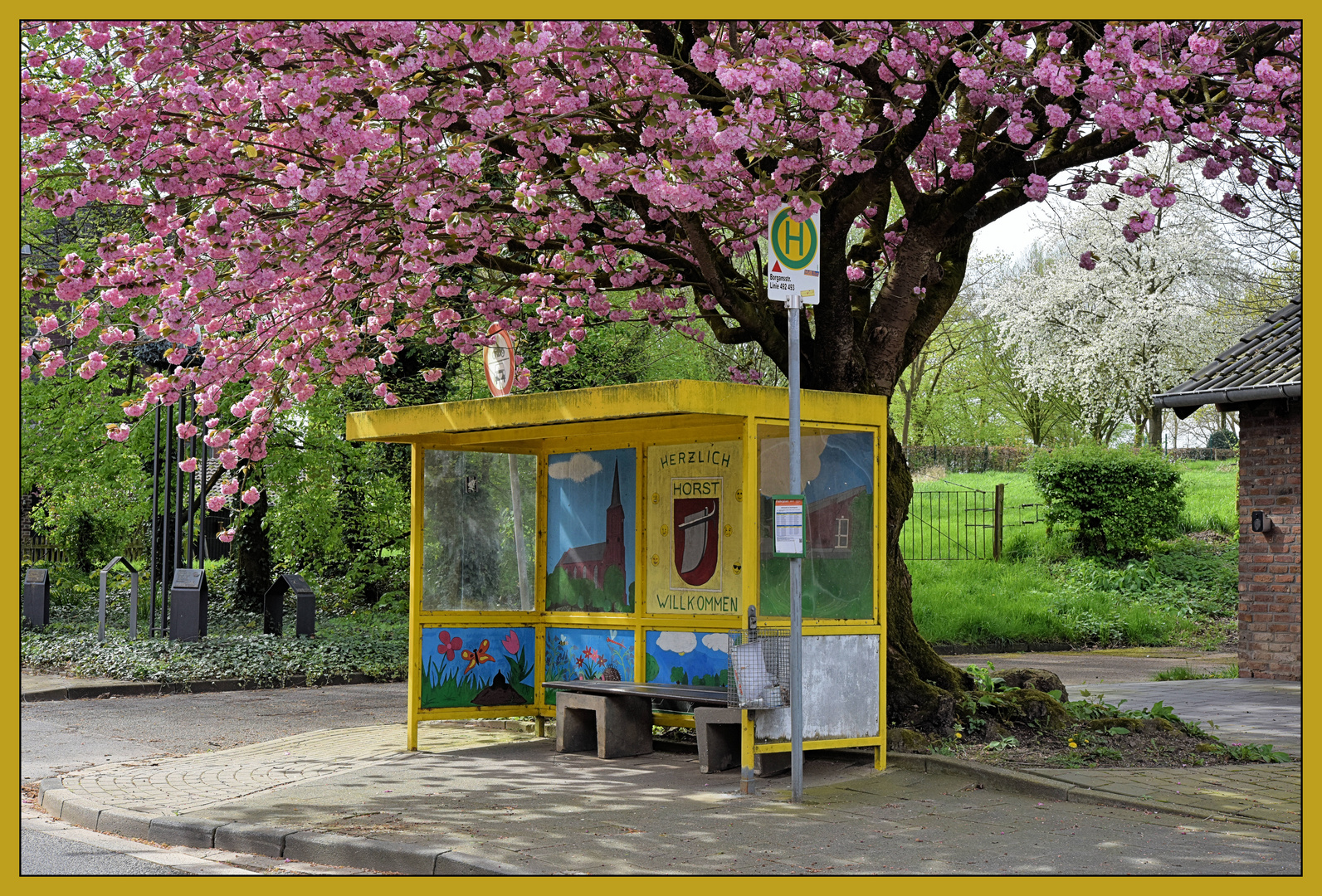 Bus stop #84