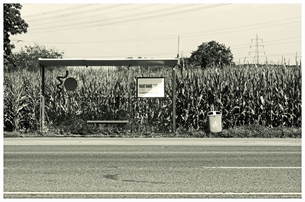 Bus Stop