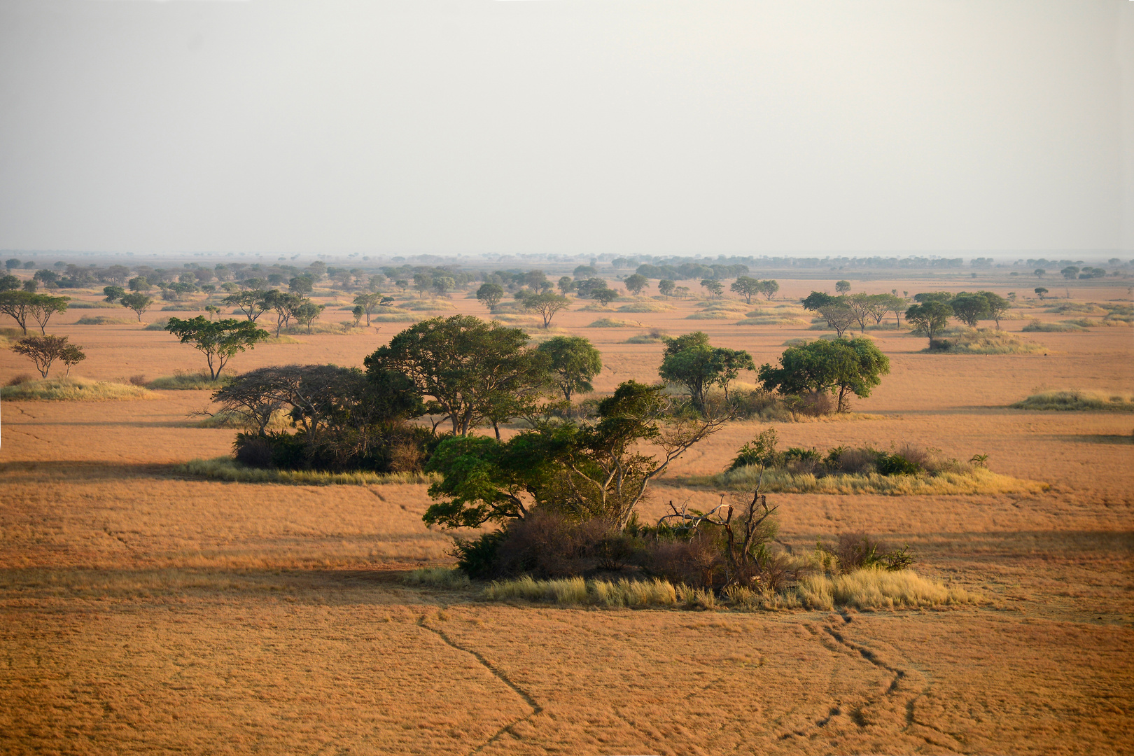 Busanga Plains from above