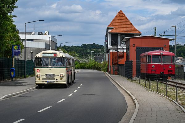 Busbegegnung