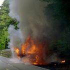 Busbrand B48 bei Hochspeyer, 2.Foto