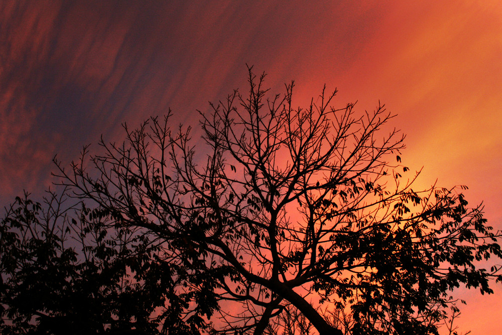 buscando cielo