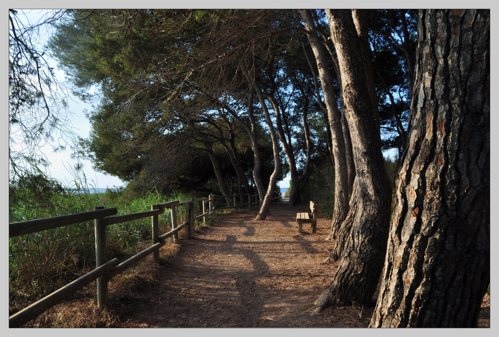 Buscando el mar