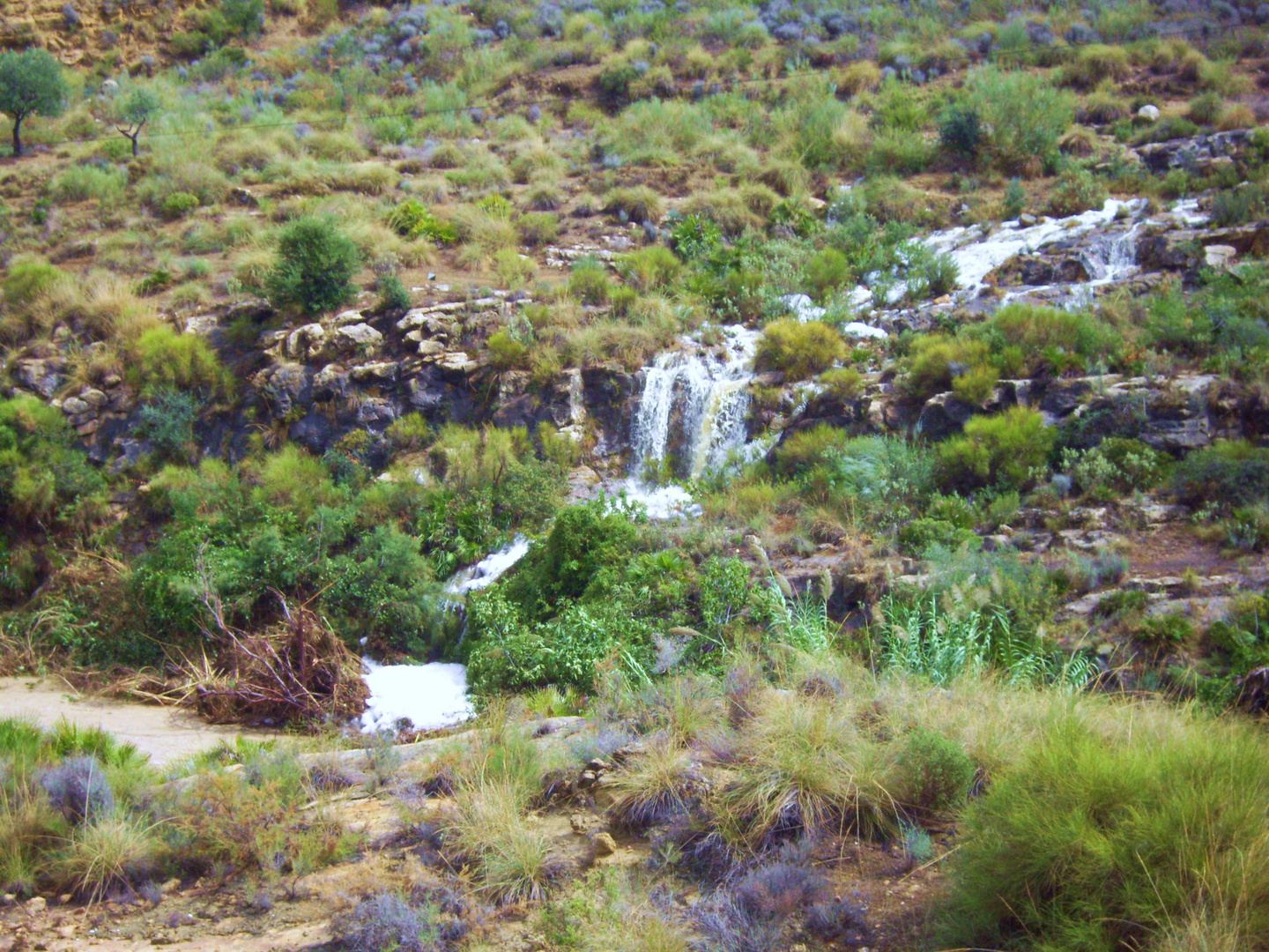 buscando el río