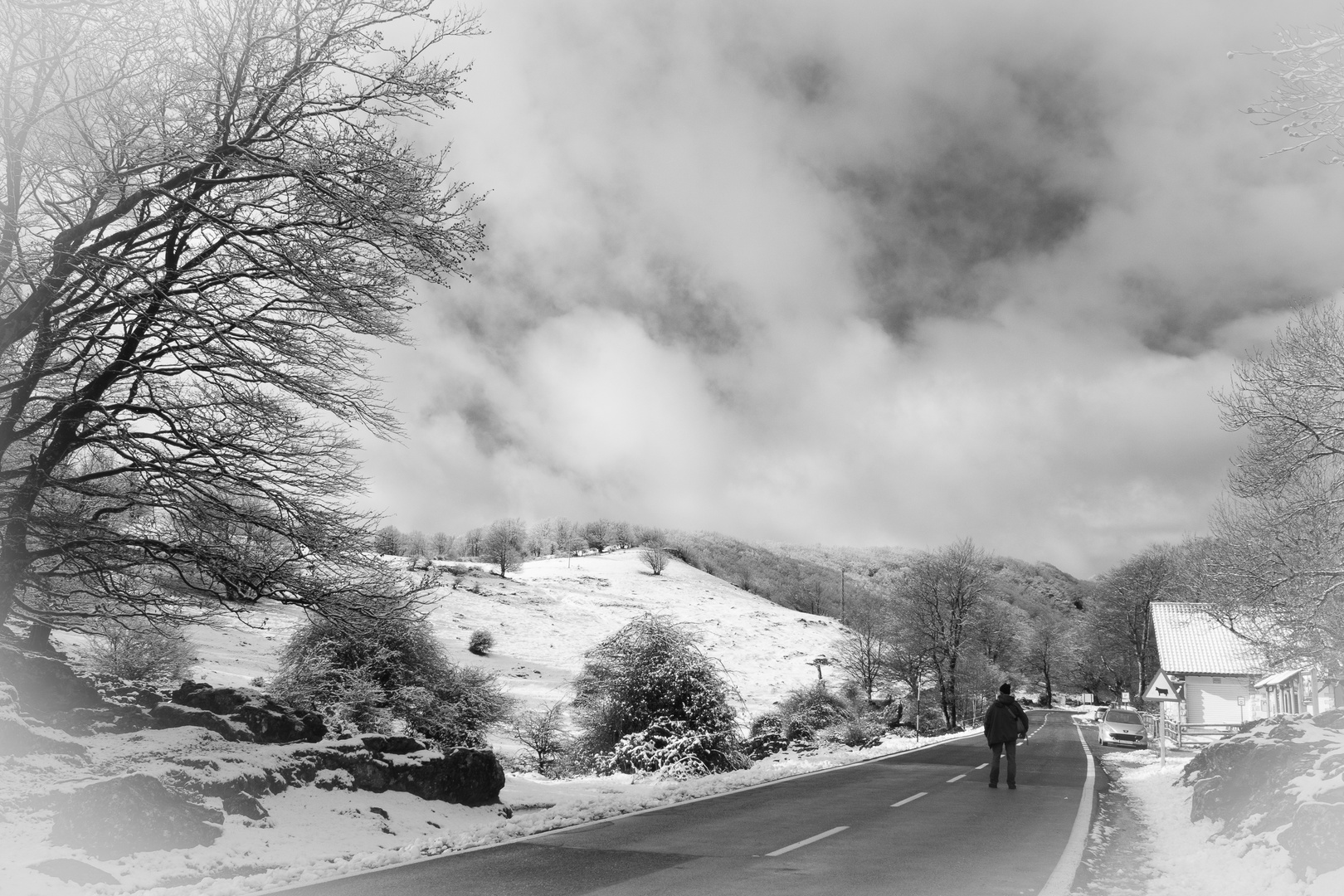 Buscando la nieve