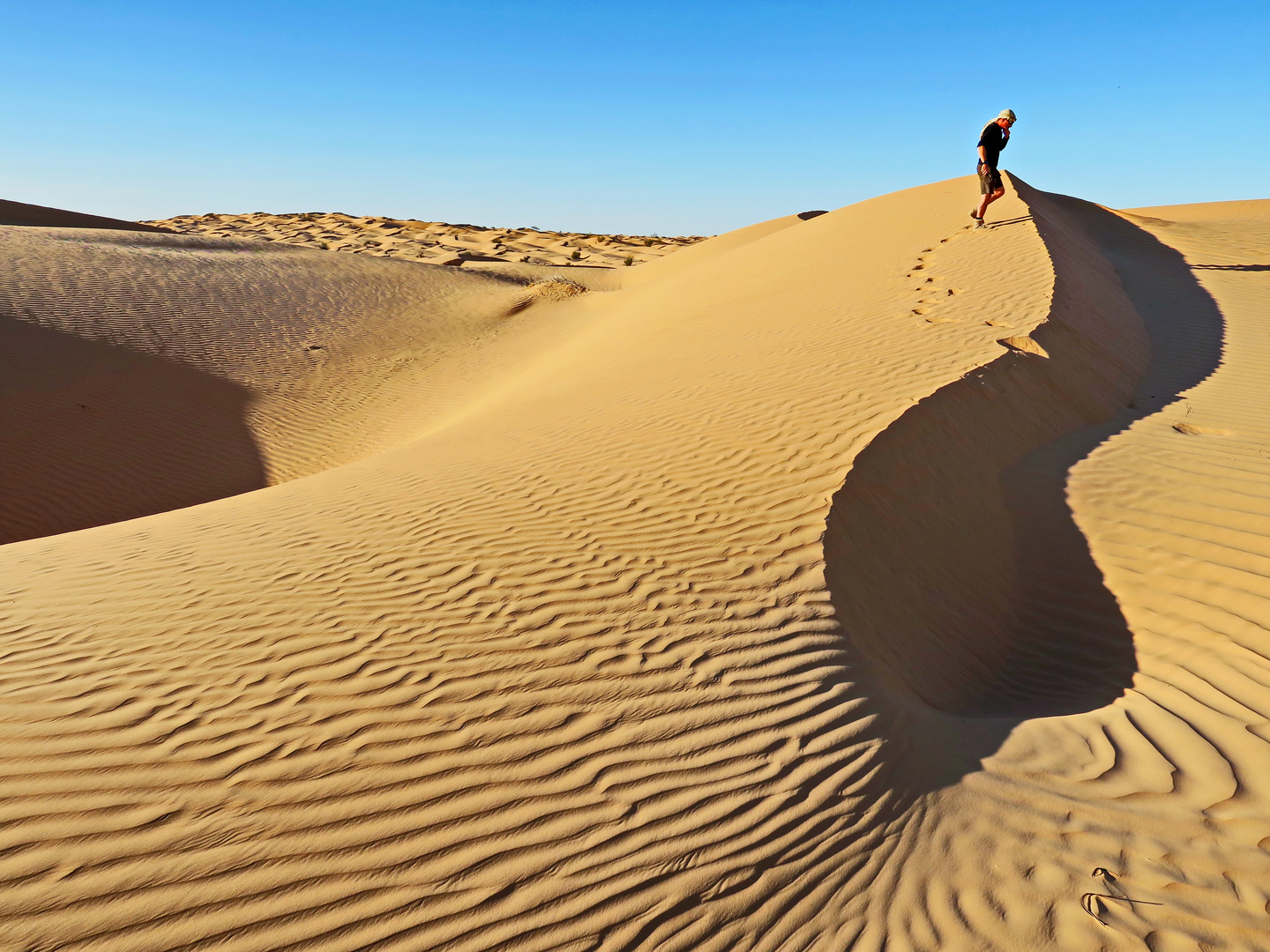 buscant la ruta