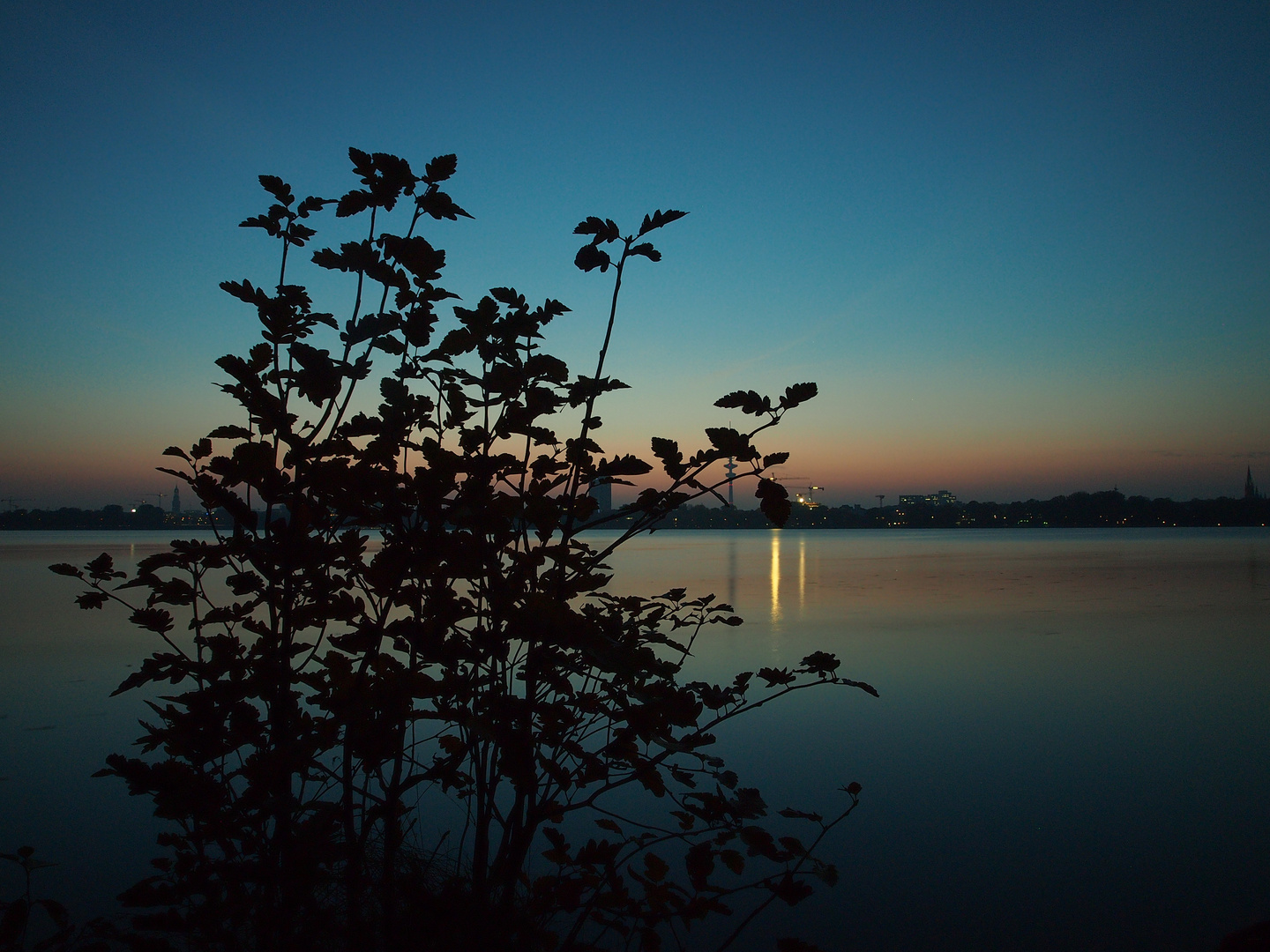 Busch an der Alster