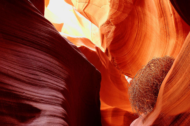 Busch Antelope Canyon