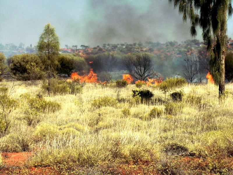 Buschbrand am Uluru