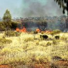 Buschbrand am Uluru