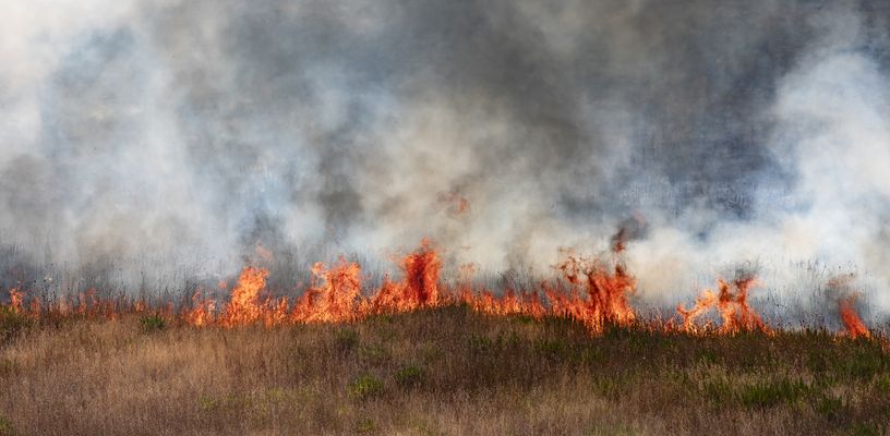 Buschbrand bei Mostar
