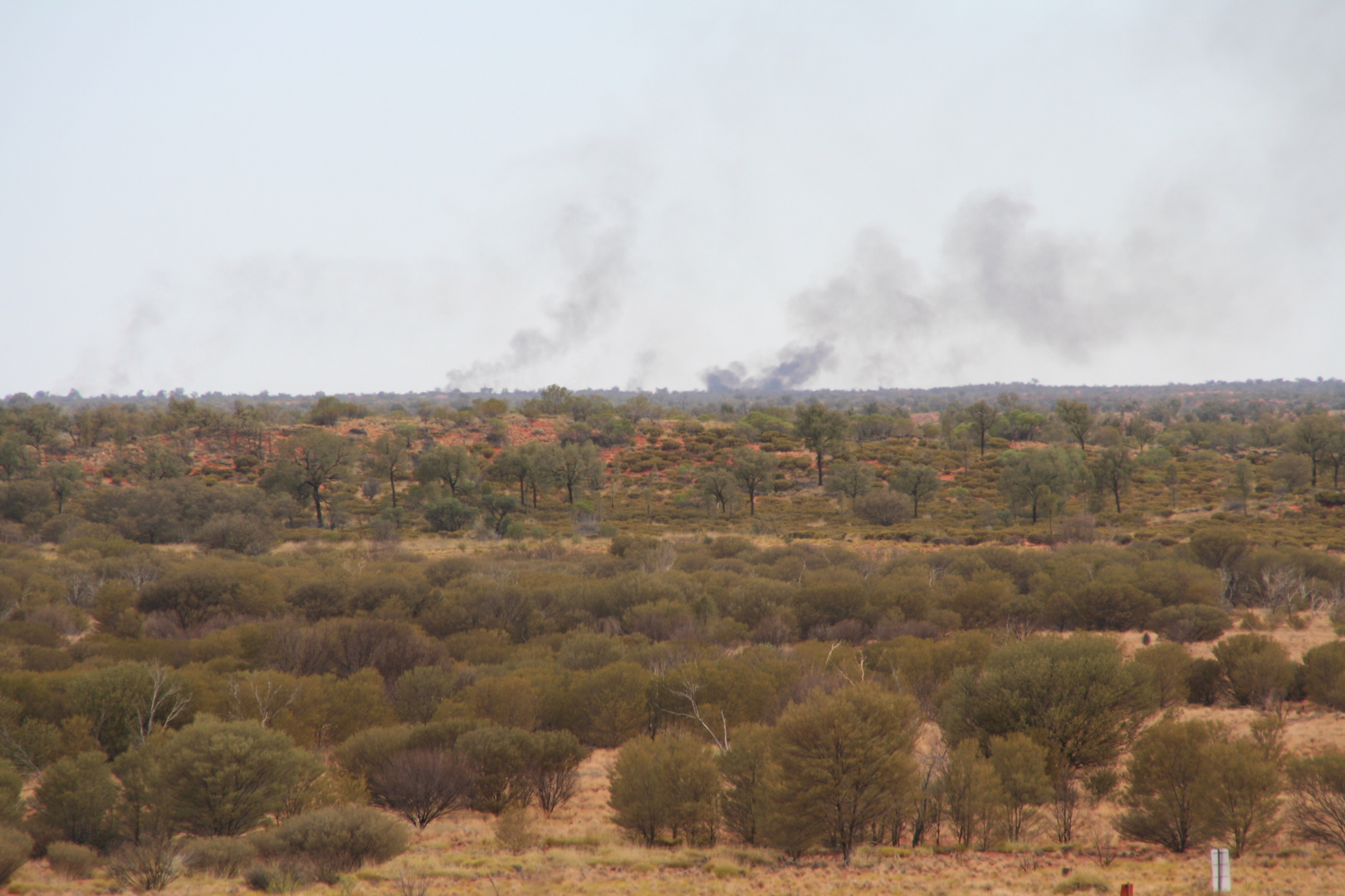 Buschbrand in Australien