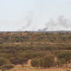 Buschbrand in Australien