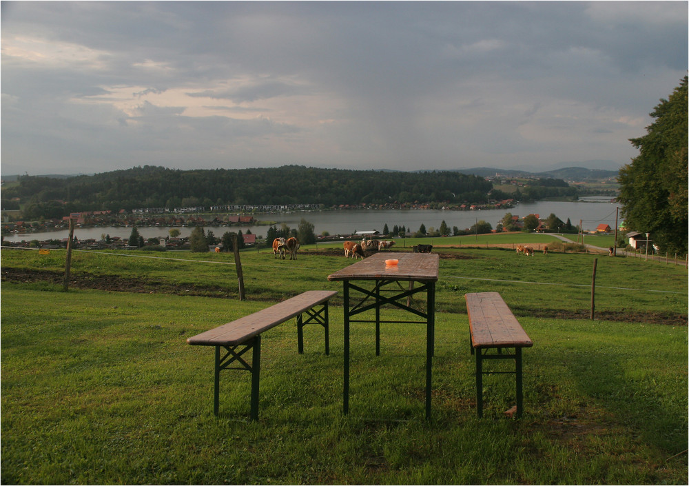 Buschenschank am Waldschacher See