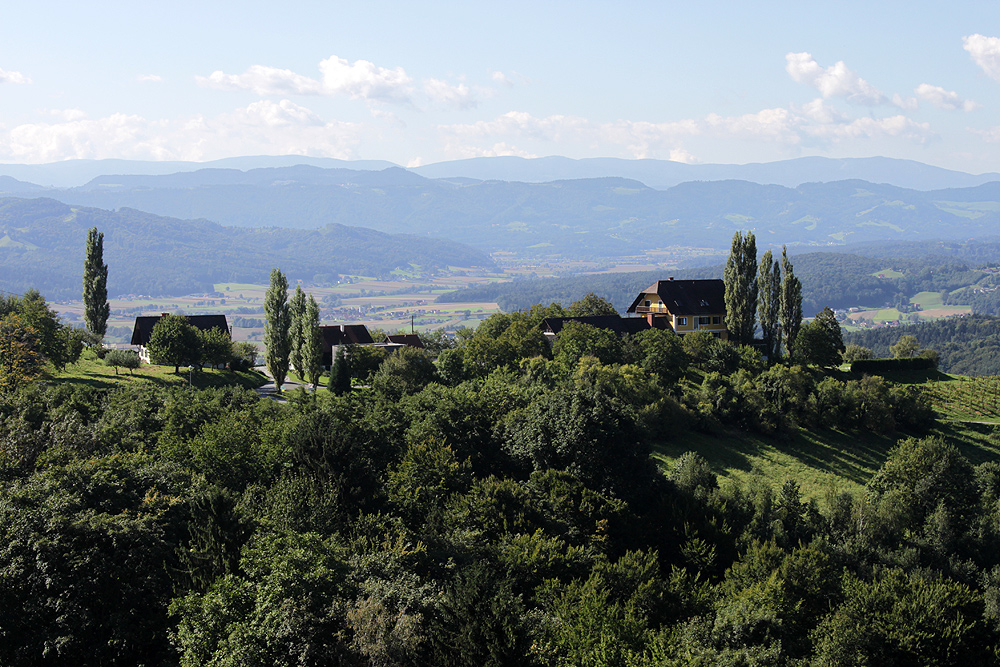 Buschenschank I