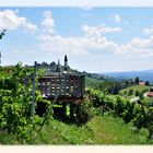 # Buschenschank-Terrasse eines Weinguts #