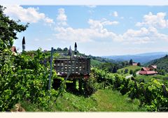 # Buschenschank-Terrasse eines Weinguts #