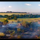 Buschfeuer am Ubirr