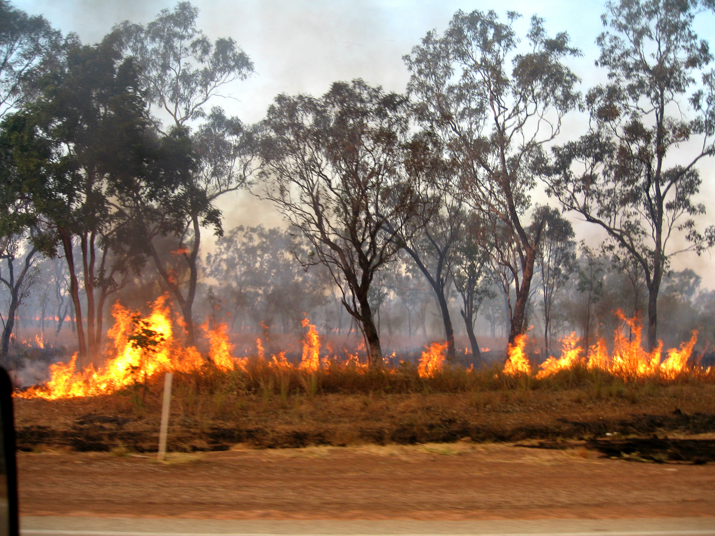 buschfeuer in australien