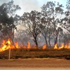 buschfeuer in australien