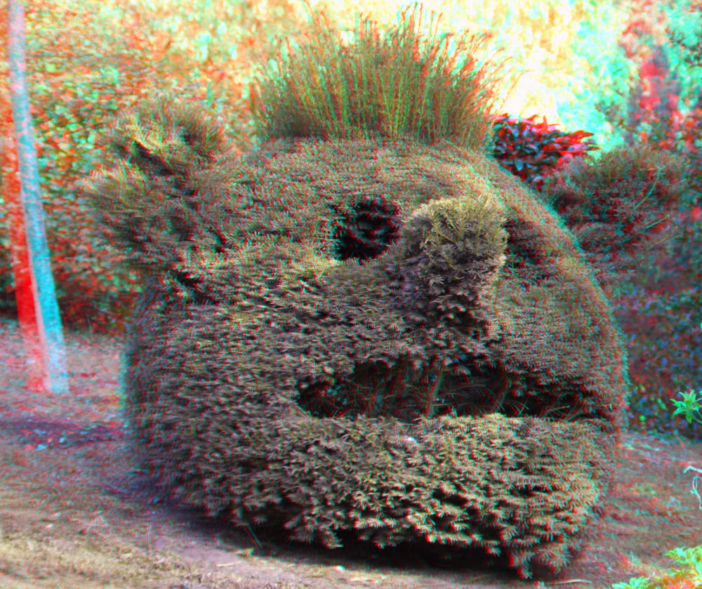 Buschkopf rot/cyan Anaglyphe