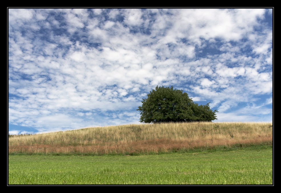 Buschland