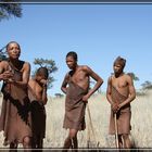 Buschmänner (Namibia)