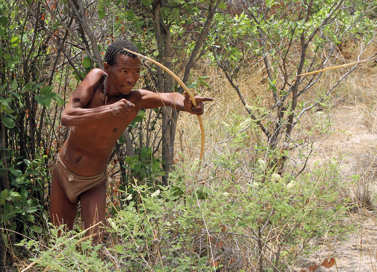 Buschmann - Namibia