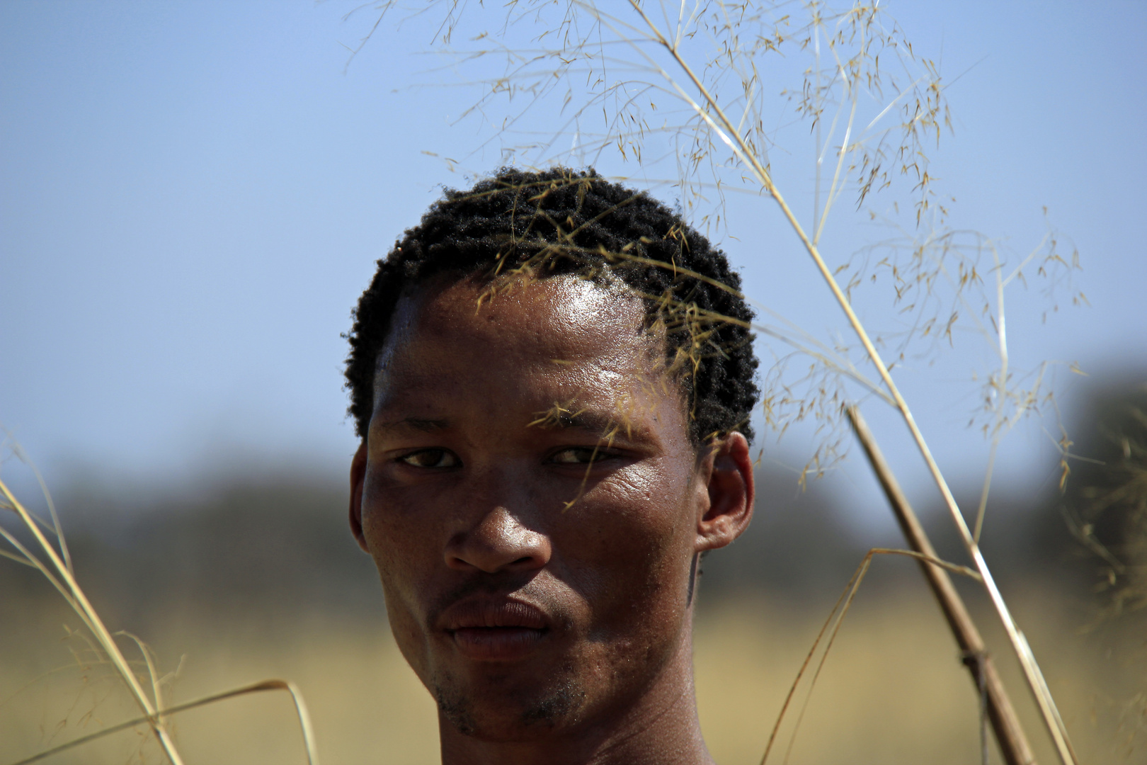 Buschmann von dem Volk der San Namibia