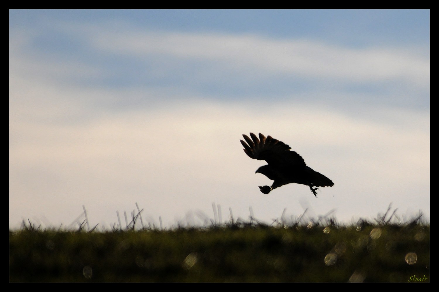 Buse variable a contre jour