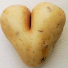 Busen- oder Po-Kartoffel