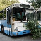 Busfriedhof