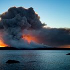 Bush Fire Hunter Island