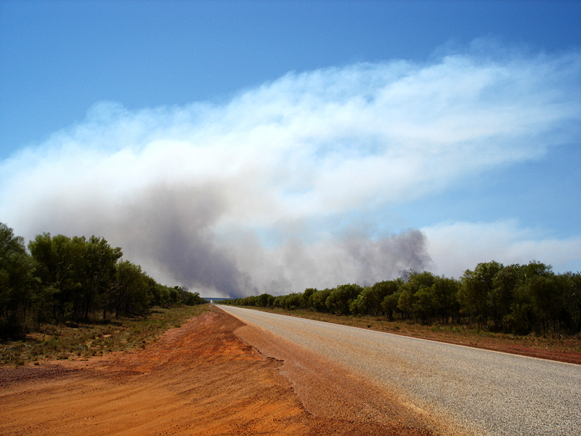 Bush fire I