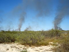 Bush fire, Port Smith